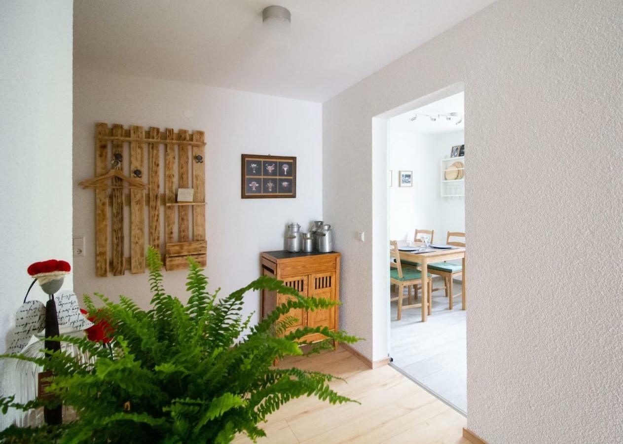 Schoene Und Helle Ferienwohnung In Pfaffenweiler Филлинген-Швеннинген Экстерьер фото